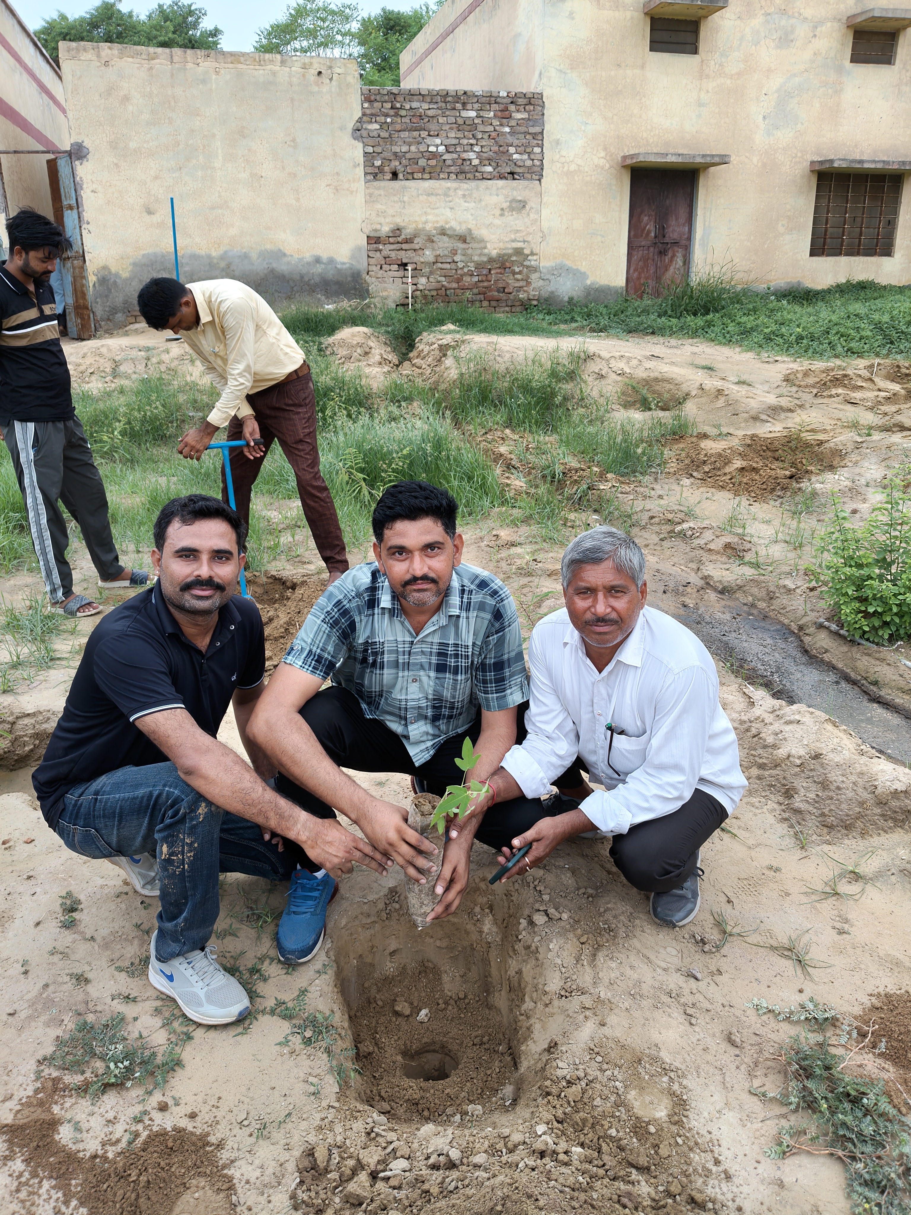 हरियालो राजस्थान के तहत विद्यालय में वृक्षारोपण -Photo